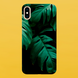 Чехол для APPLE IPHONE X/XS силиконовый прозрачный TROPIC 5703 фото